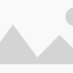 شانه و برس سوآوینکس طرح خرس صورتی 317383